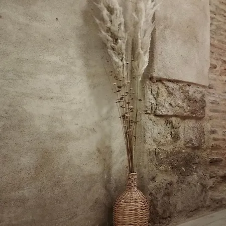 La Casa De Flores *